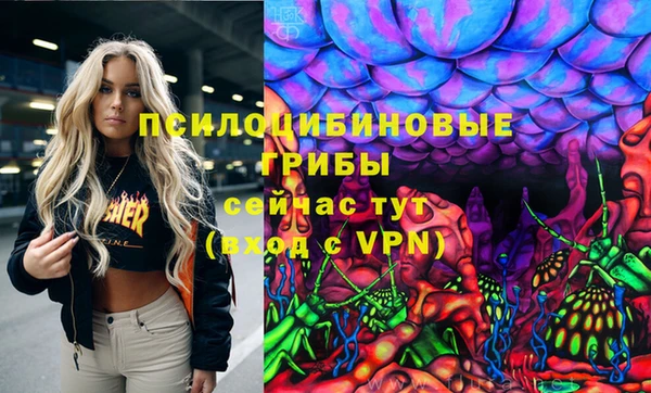 PSILOCYBIN Бугульма