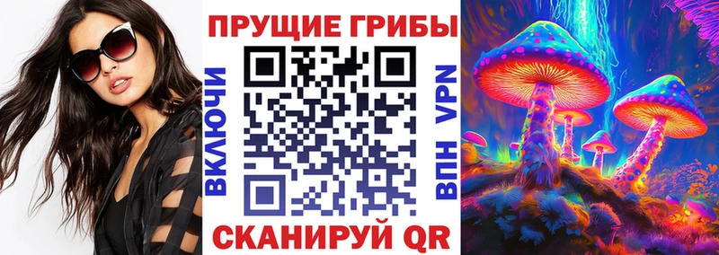 Псилоцибиновые грибы Cubensis  Меленки 